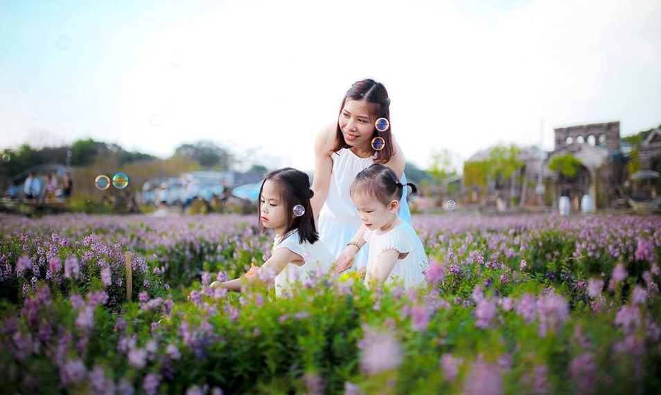 Thời tiết vẫn đang rất đẹp, cuối tuần ghé thung lũng hoa Hà Nội chụp ảnh là nhất!